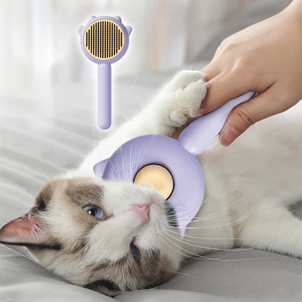 Purple round self-cleaning brush grooming a cat